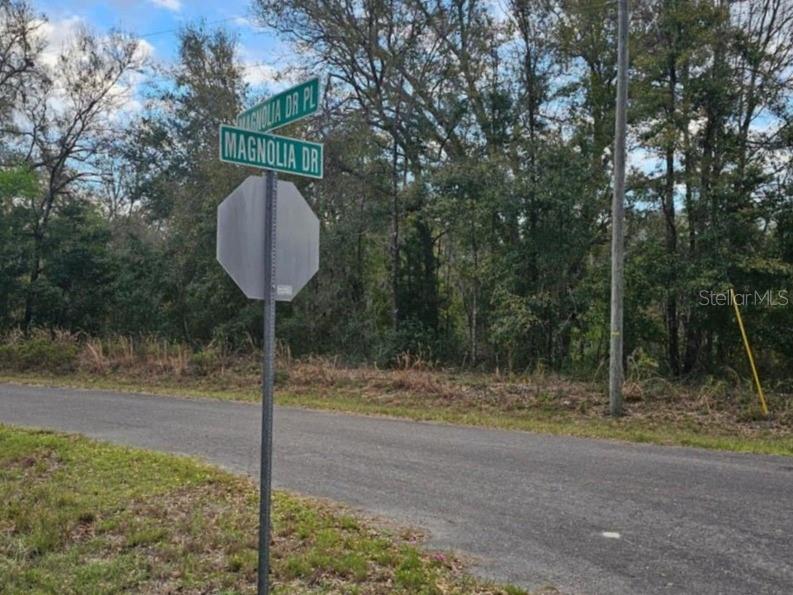 SILVER SPRINGS SHORES #42, OCALA, FL, 34472