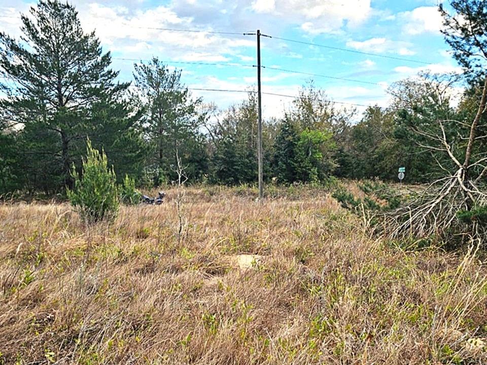 SILVER SPRINGS SHORES #42, OCALA, FL, 34472