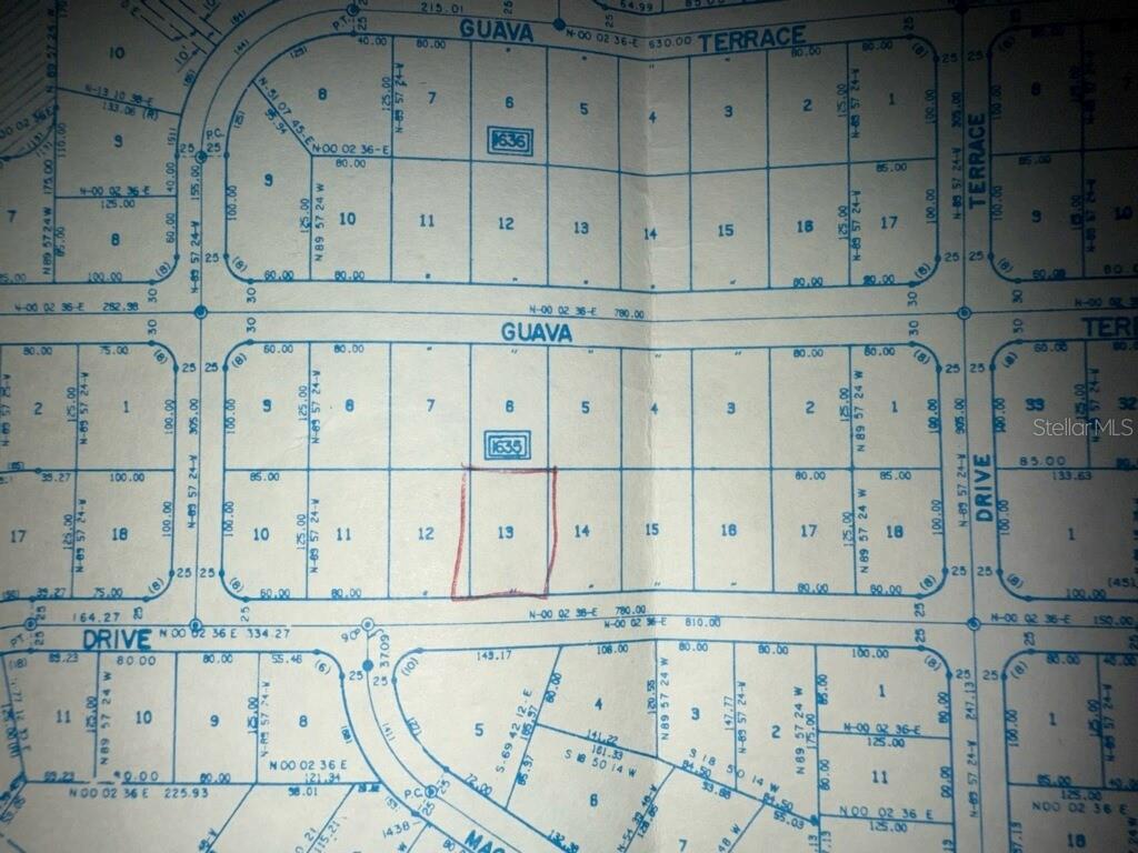 SILVER SPRINGS SHORES #42, OCALA, FL, 34472