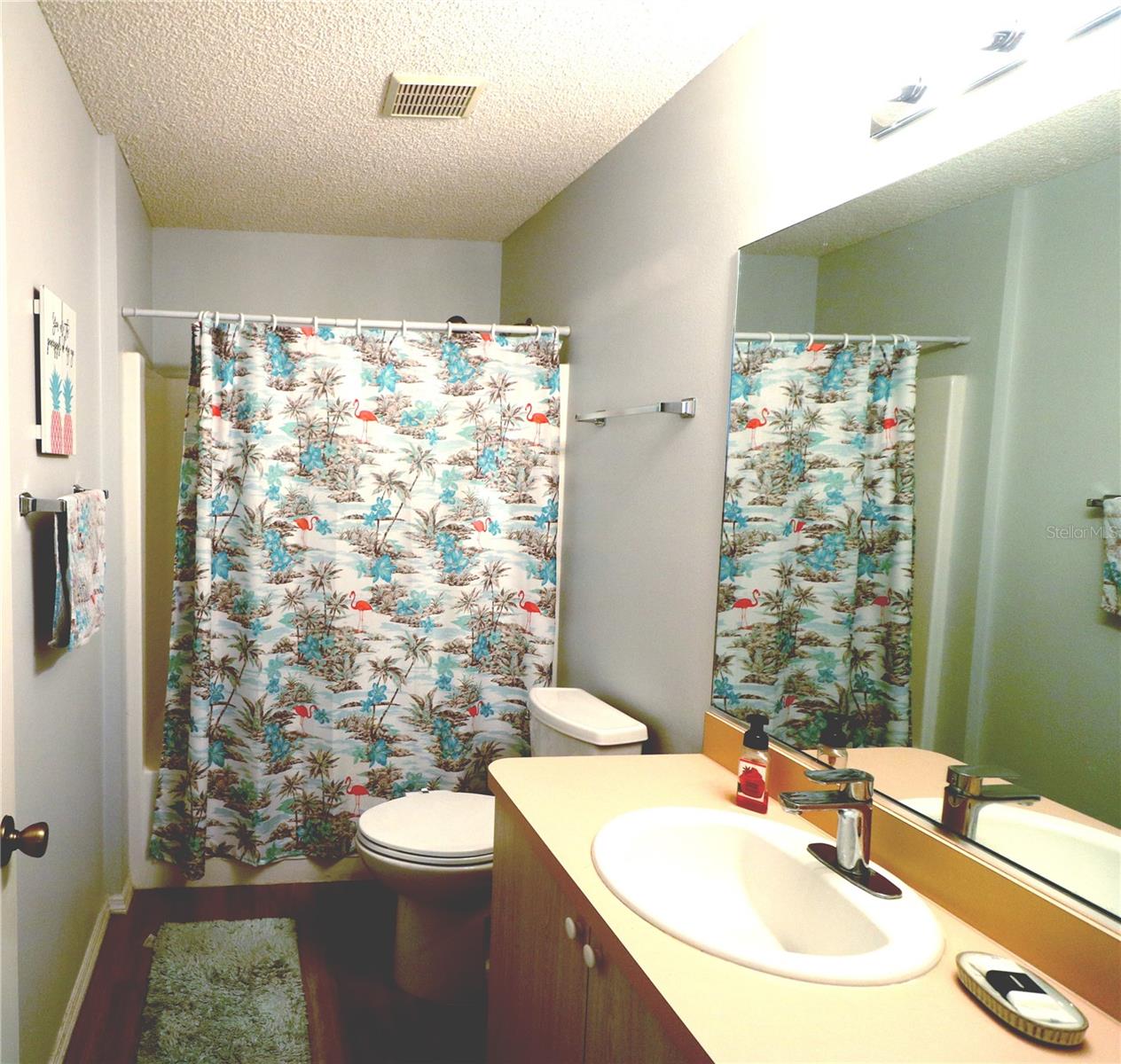 1650 DURAN DR, THE VILLAGES, FL, 32162