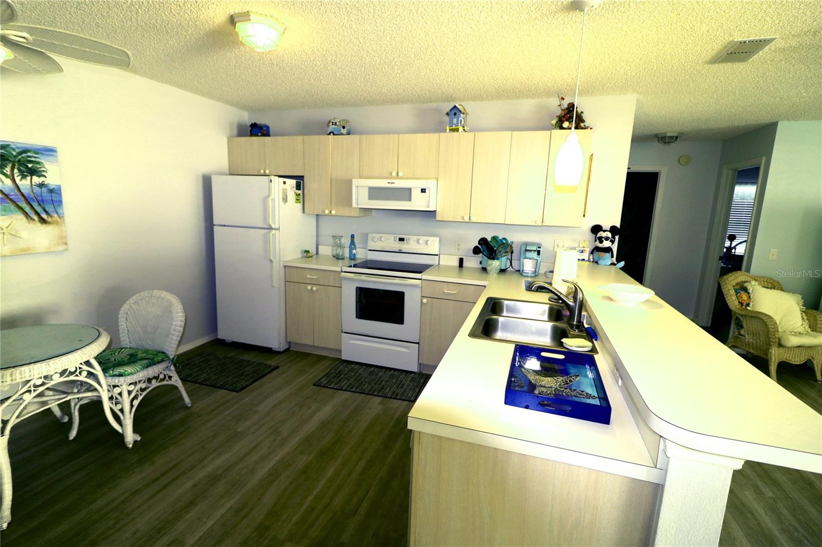 1650 DURAN DR, THE VILLAGES, FL, 32162
