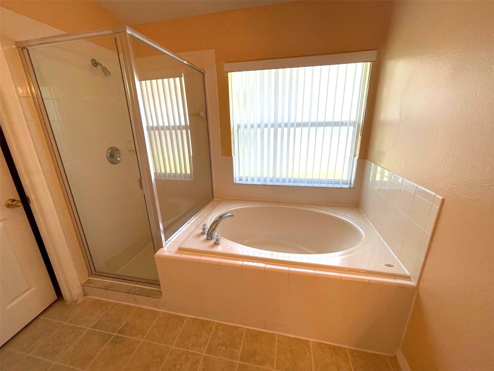 407 BRAYTON LN, DAVENPORT, FL, 33897