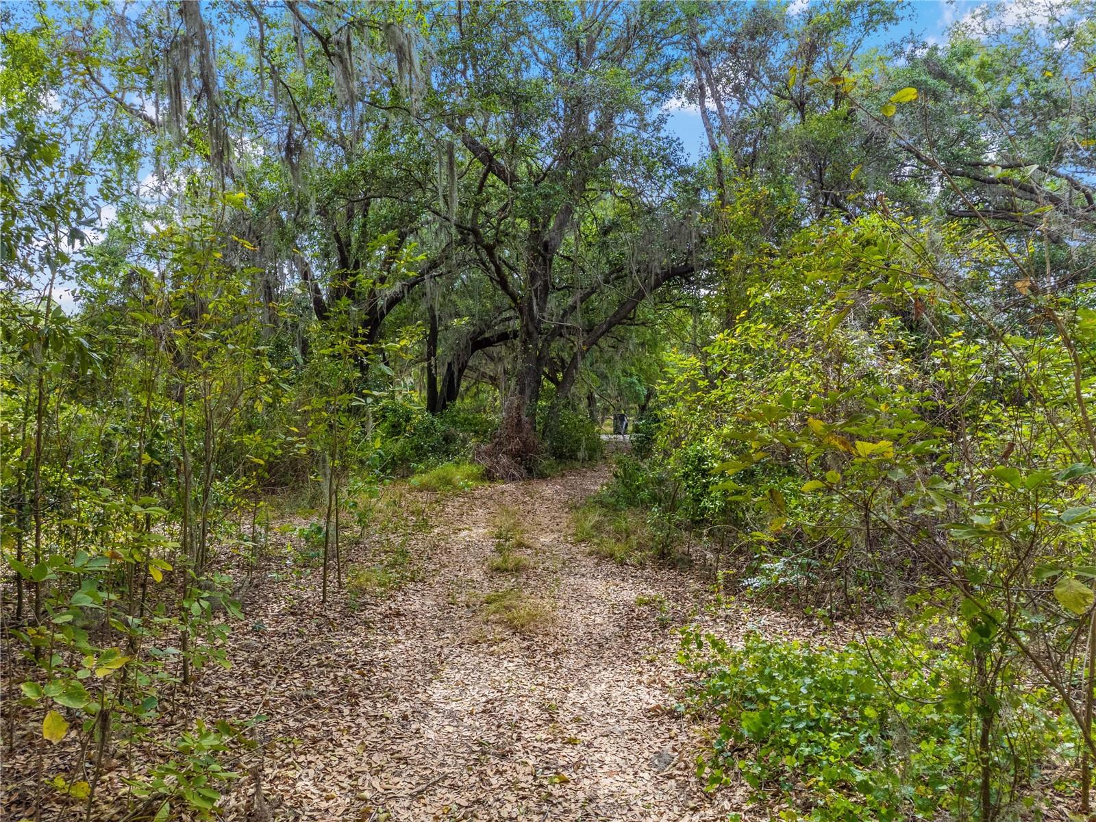 3201 CYPRESSWOOD BLVD, WINTER HAVEN, FL, 33884