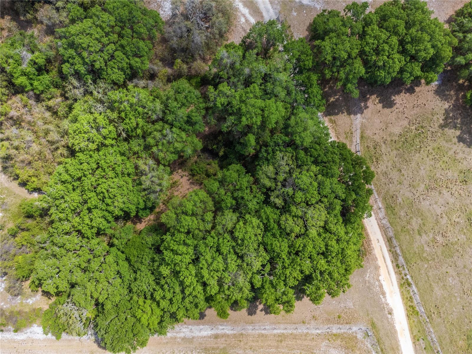 3201 CYPRESSWOOD BLVD, WINTER HAVEN, FL, 33884