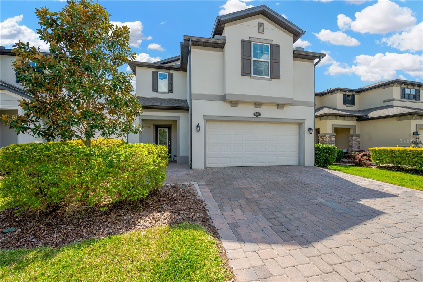 19592 BREYNIA DR, LUTZ, FL, 33558