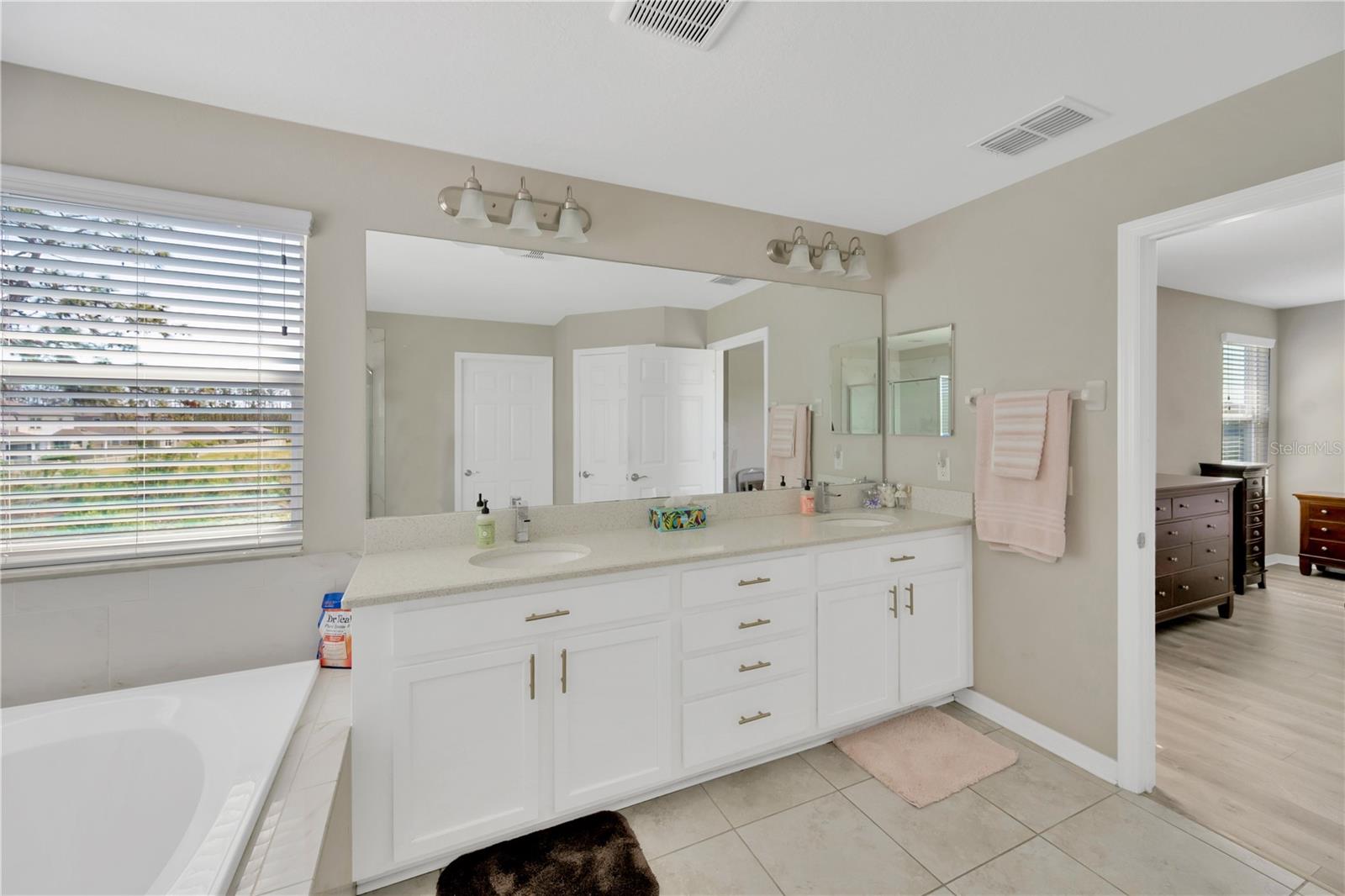 19592 BREYNIA DR, LUTZ, FL, 33558
