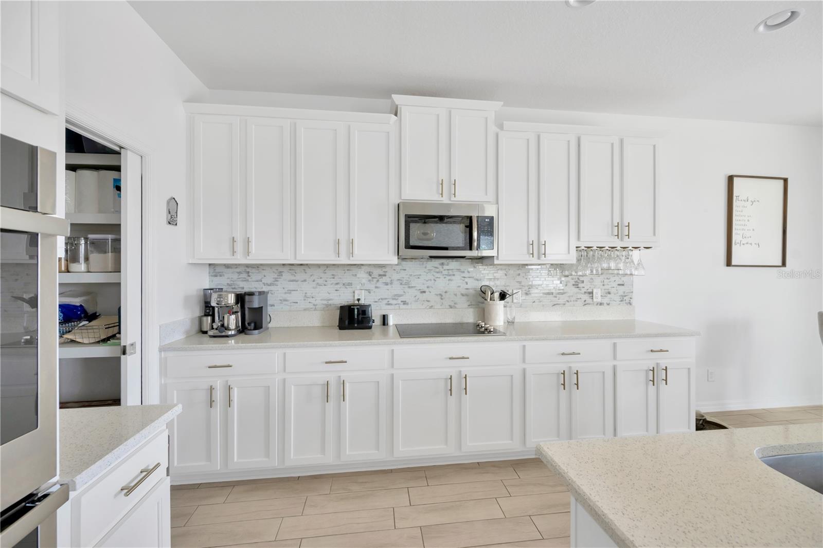 19592 BREYNIA DR, LUTZ, FL, 33558