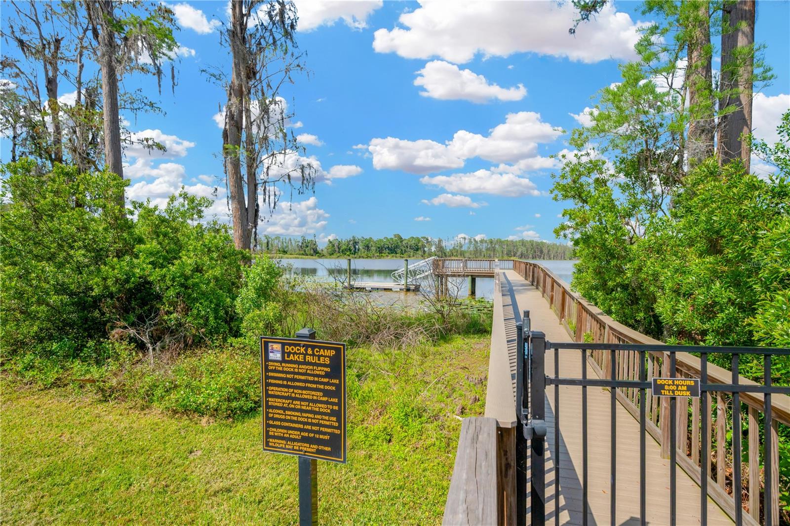 19592 BREYNIA DR, LUTZ, FL, 33558
