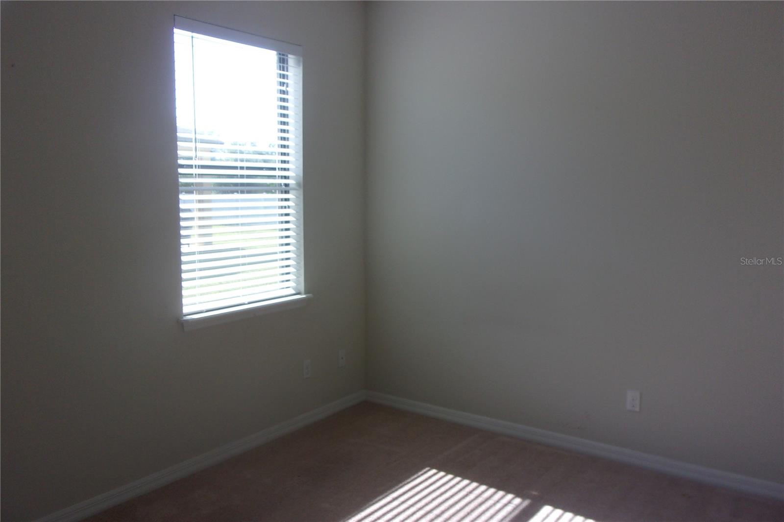 6953 CORLEY AVE, WINDERMERE, FL, 34786