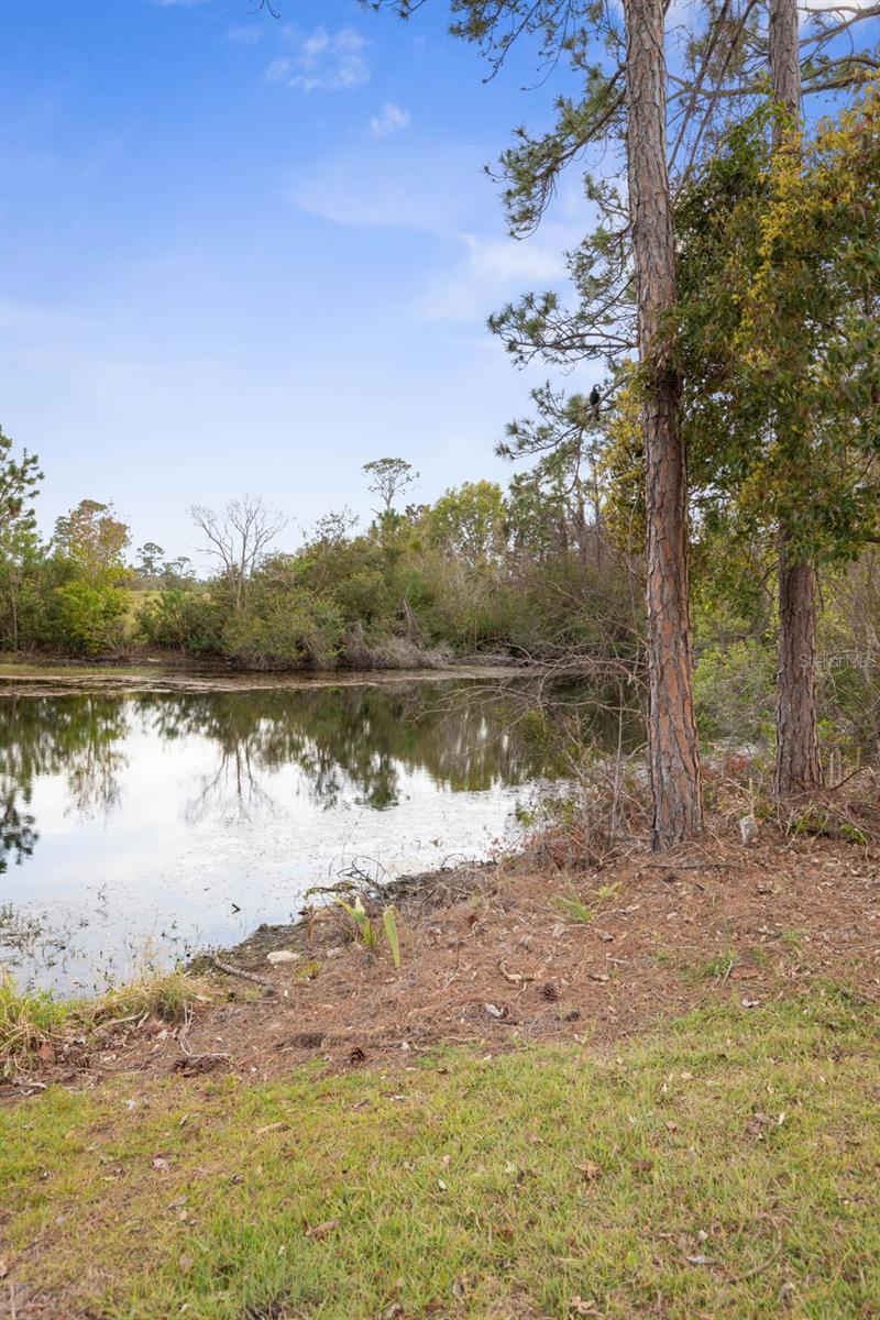 100 WESTBURY LN, PALM COAST, FL, 32164