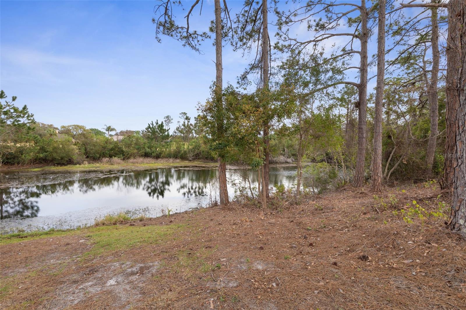 100 WESTBURY LN, PALM COAST, FL, 32164