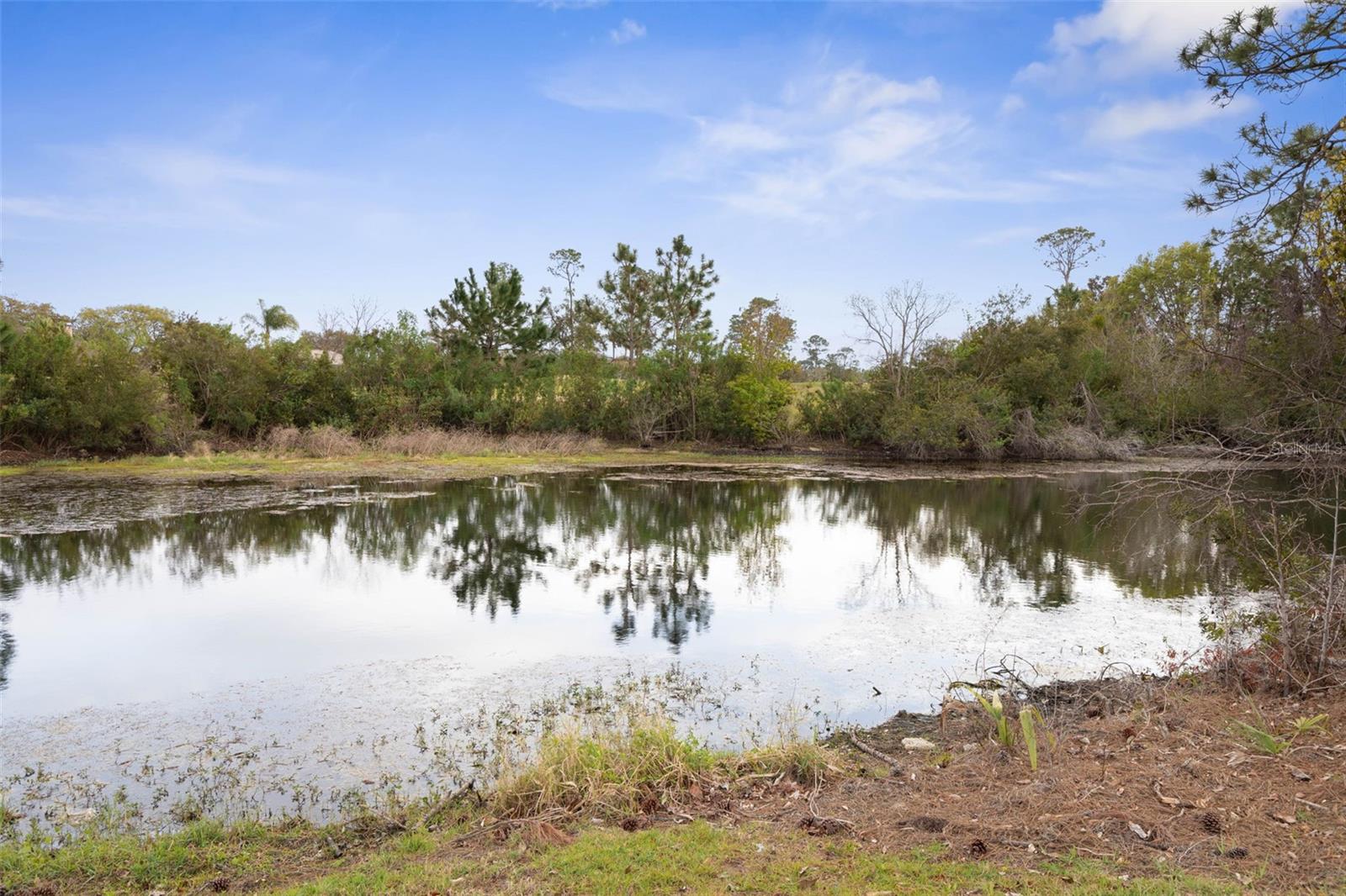 100 WESTBURY LN, PALM COAST, FL, 32164