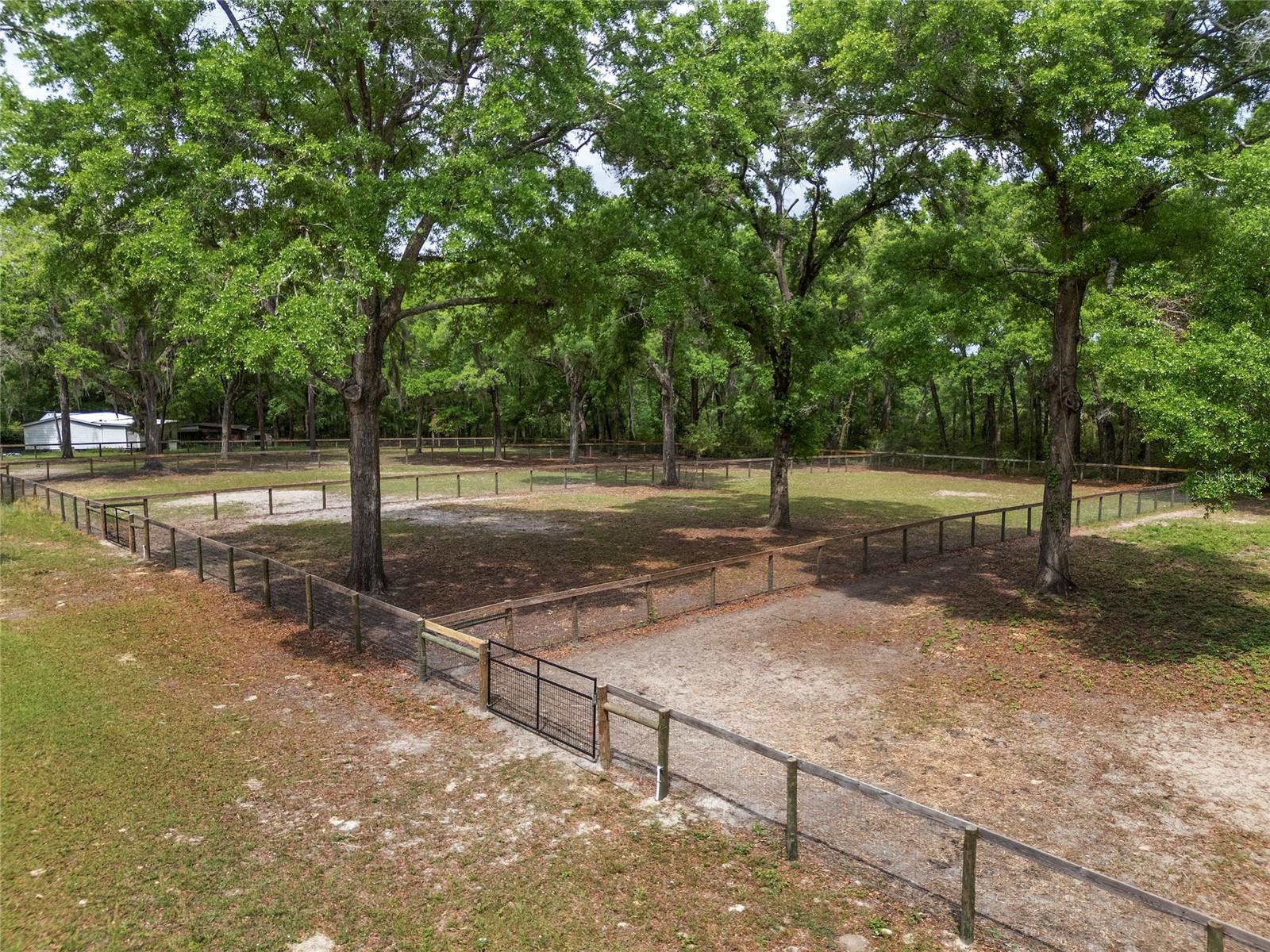8511 SW 34TH PL, OCALA, FL, 34481