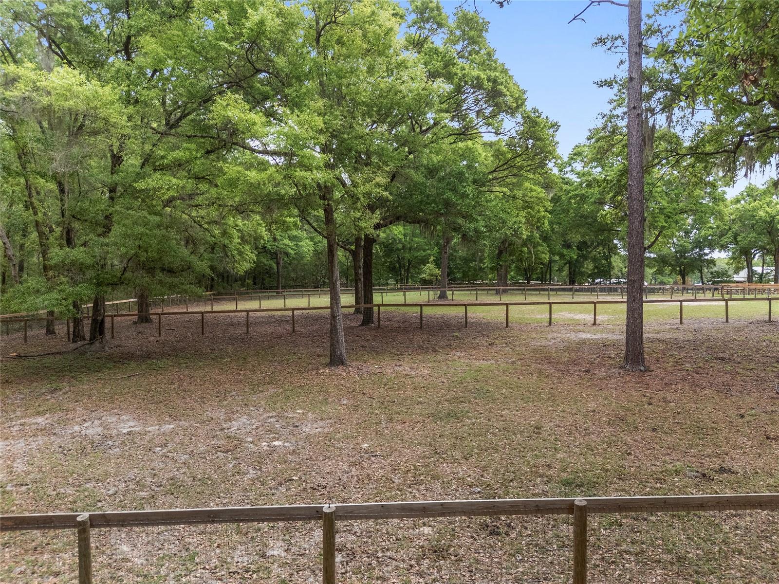 8511 SW 34TH PL, OCALA, FL, 34481