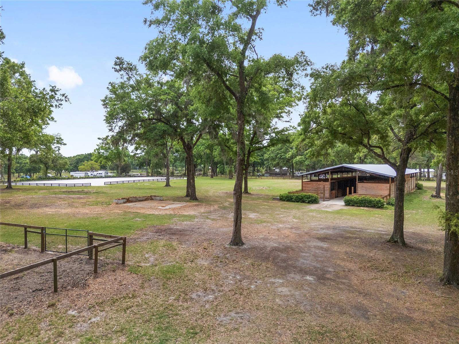 8511 SW 34TH PL, OCALA, FL, 34481
