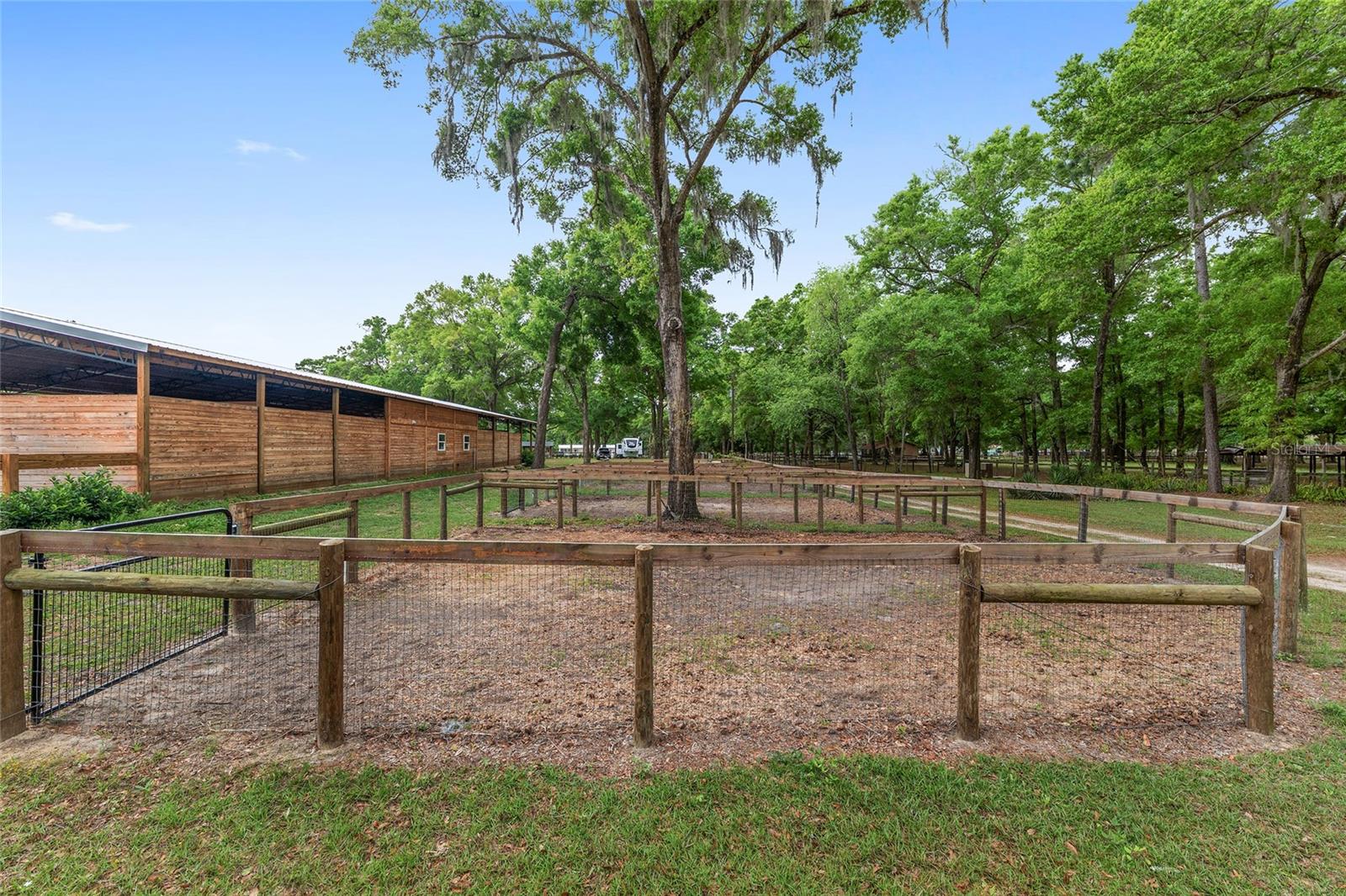 8511 SW 34TH PL, OCALA, FL, 34481