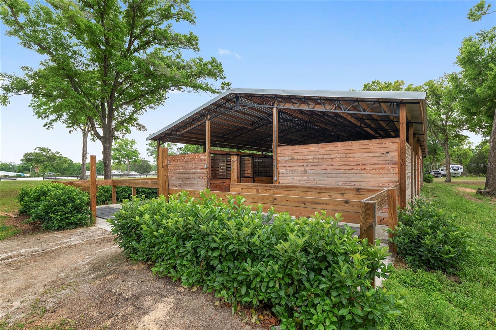 8511 SW 34TH PL, OCALA, FL, 34481