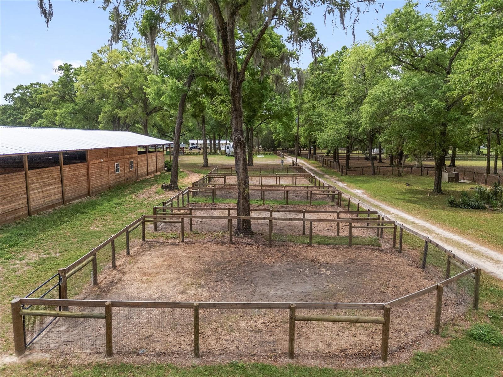 8511 SW 34TH PL, OCALA, FL, 34481