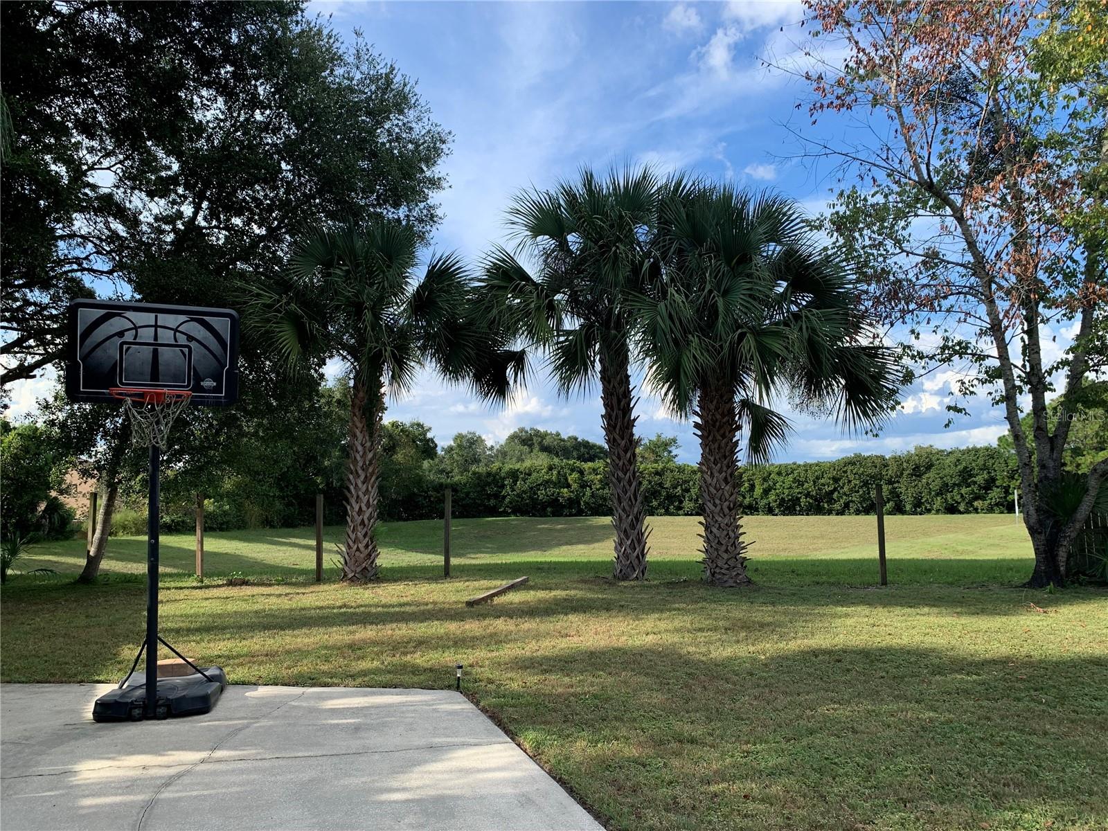 2155 PALM VIEW DR, APOPKA, FL, 32712