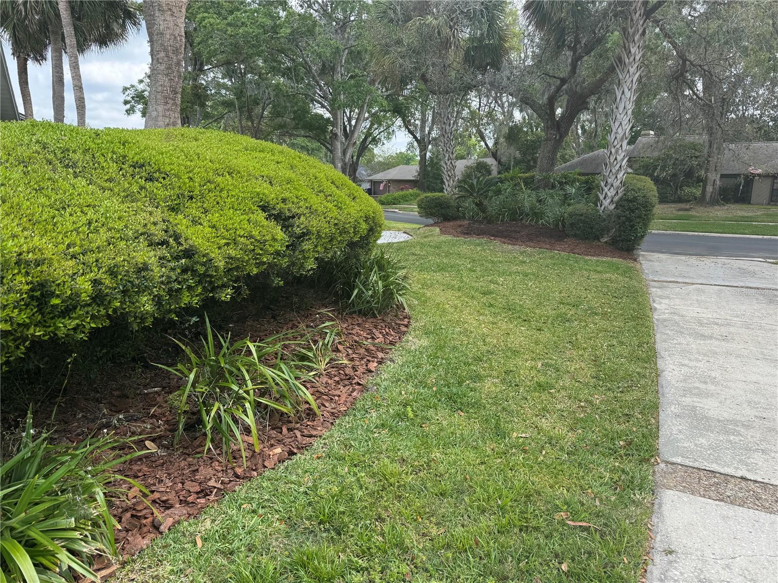 2155 PALM VIEW DR, APOPKA, FL, 32712
