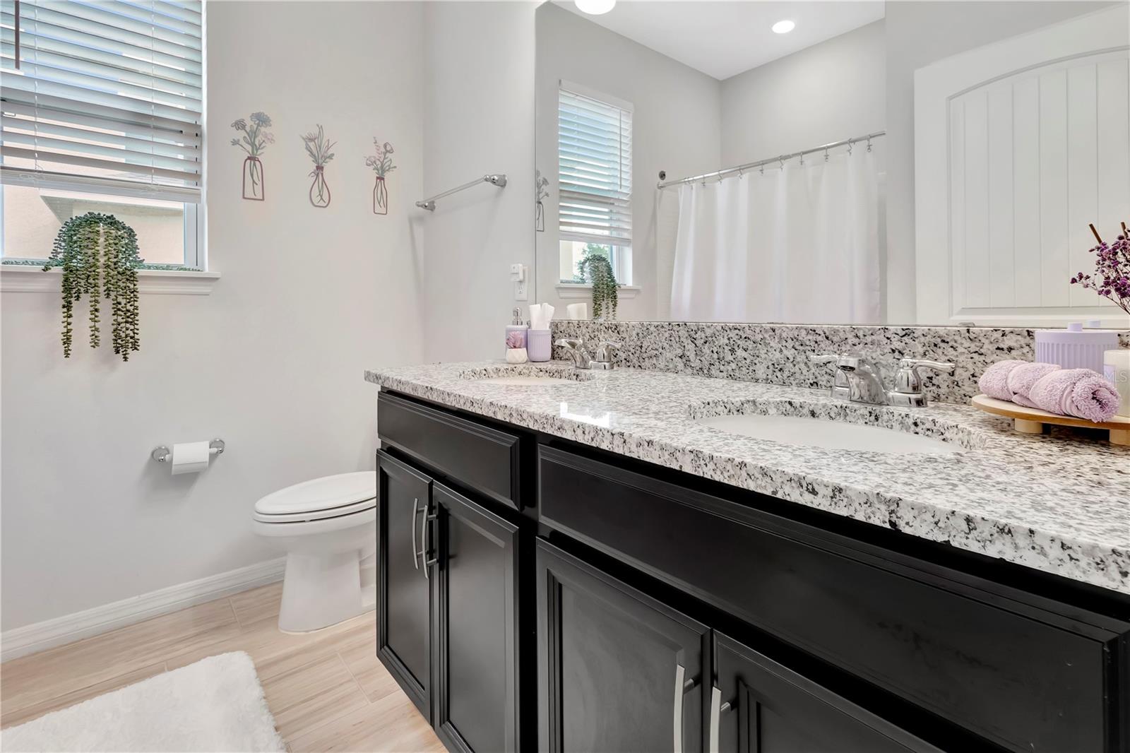 485 HALTER DR, APOPKA, FL, 32712
