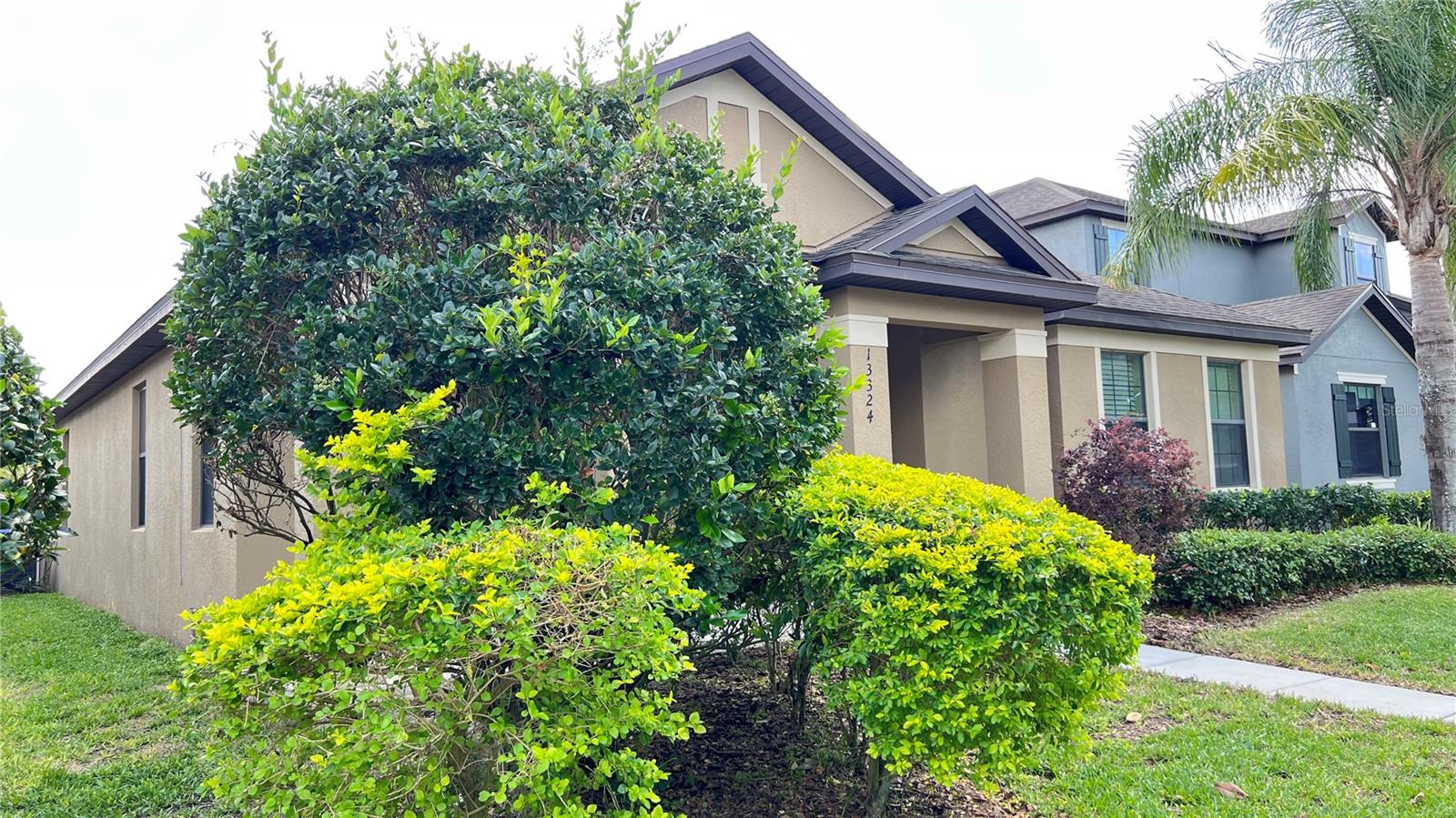 13324 LONGACRE DR, WINDERMERE, FL, 34786