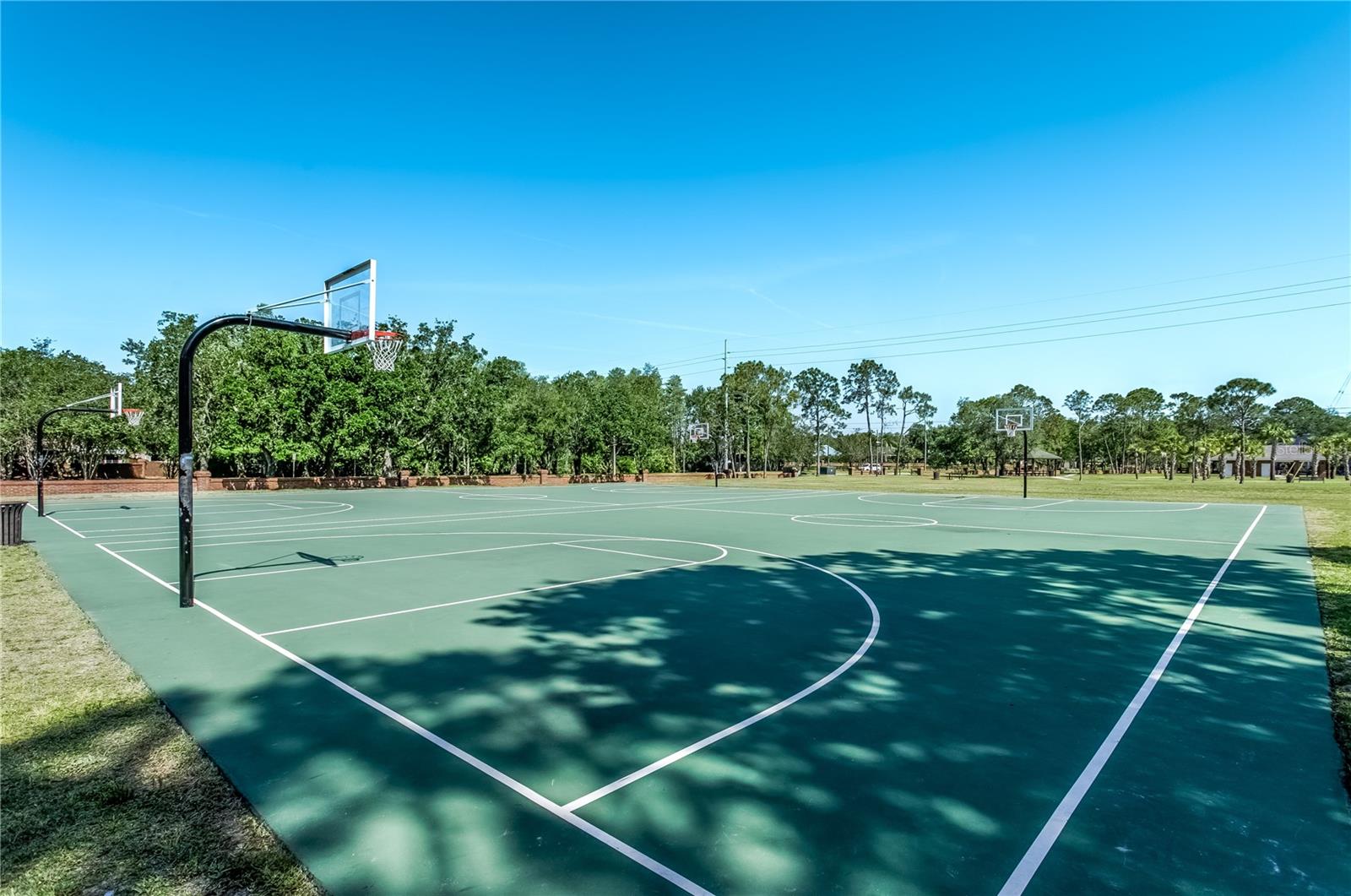 10626 TAVISTOCK DR, TAMPA, FL, 33626