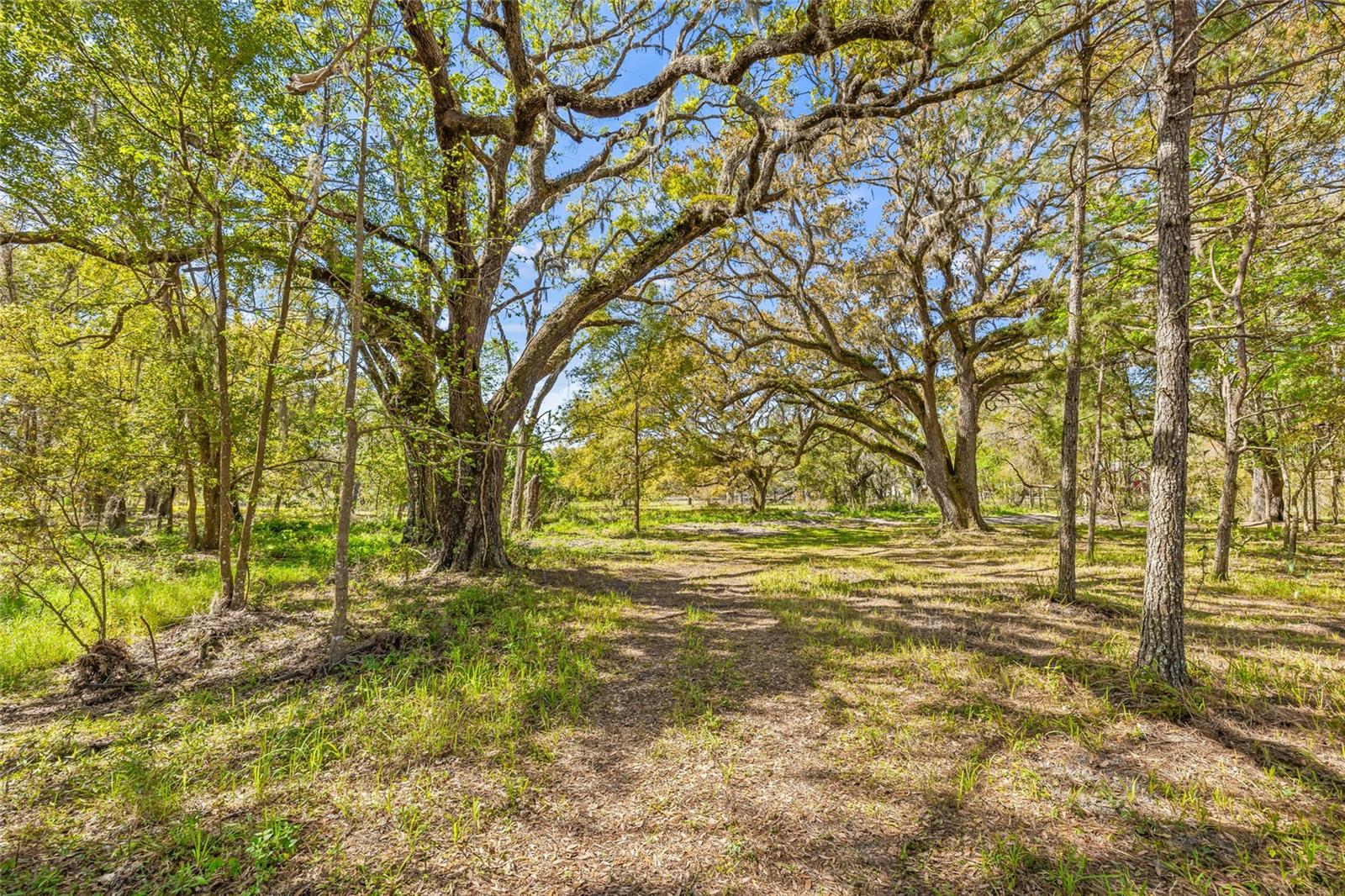 22296 WISE OWL RD, BROOKSVILLE, FL, 34602