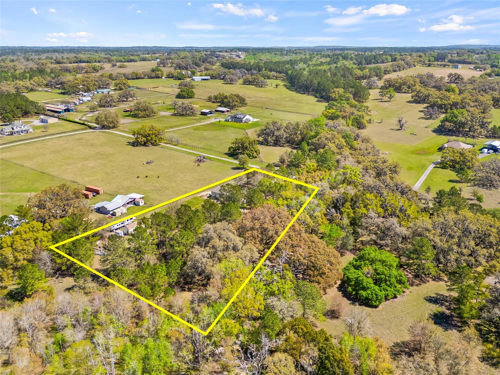 22296 WISE OWL RD, BROOKSVILLE, FL, 34602