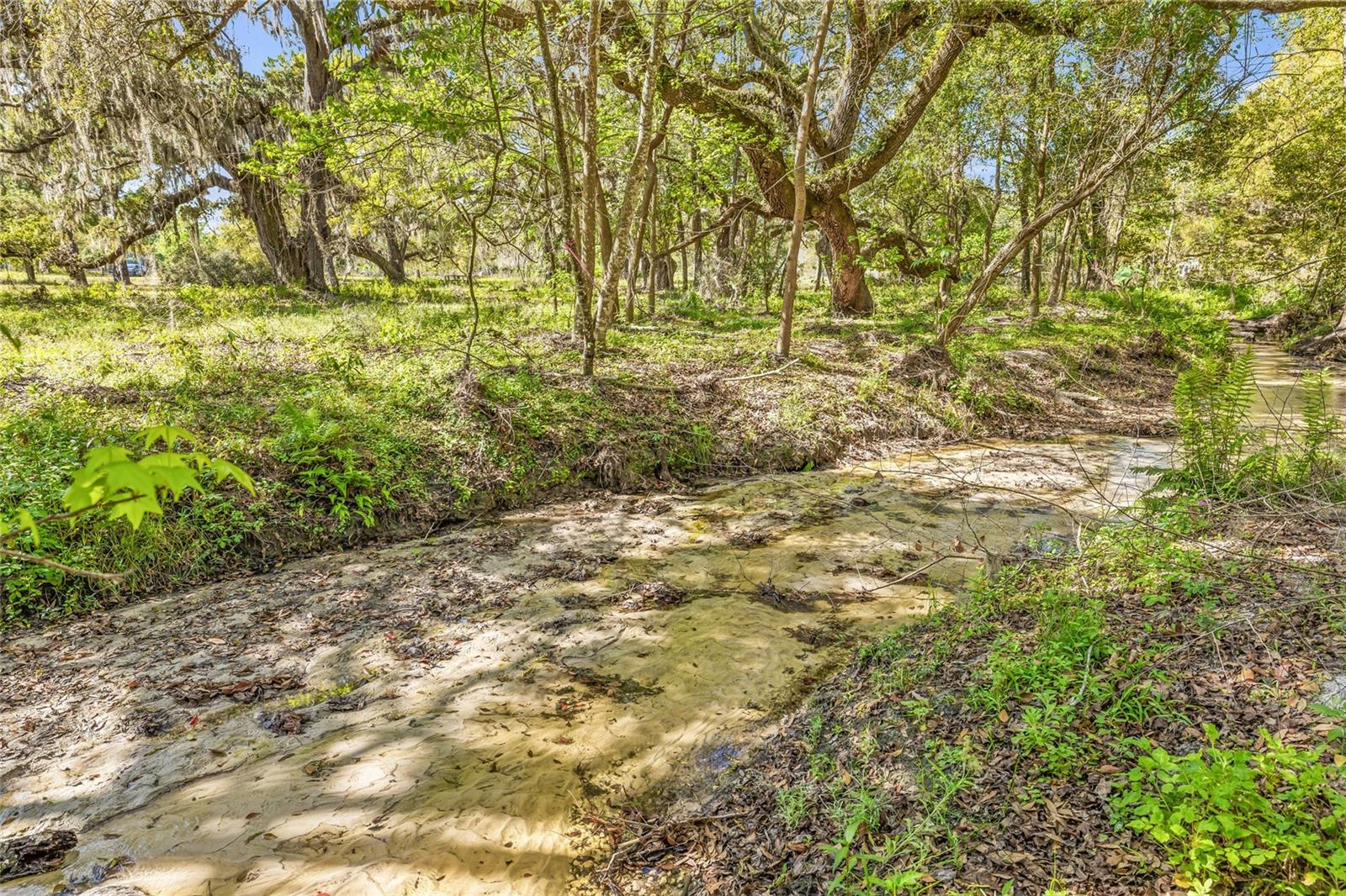 22296 WISE OWL RD, BROOKSVILLE, FL, 34602