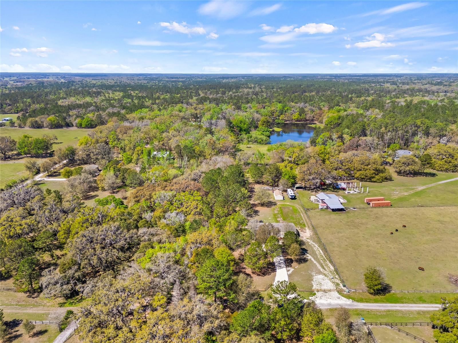 22296 WISE OWL RD, BROOKSVILLE, FL, 34602