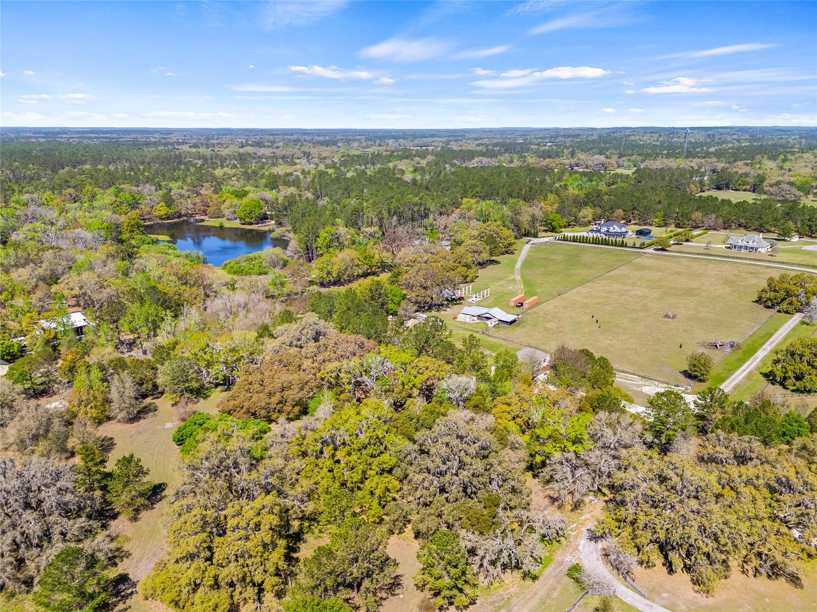 22296 WISE OWL RD, BROOKSVILLE, FL, 34602