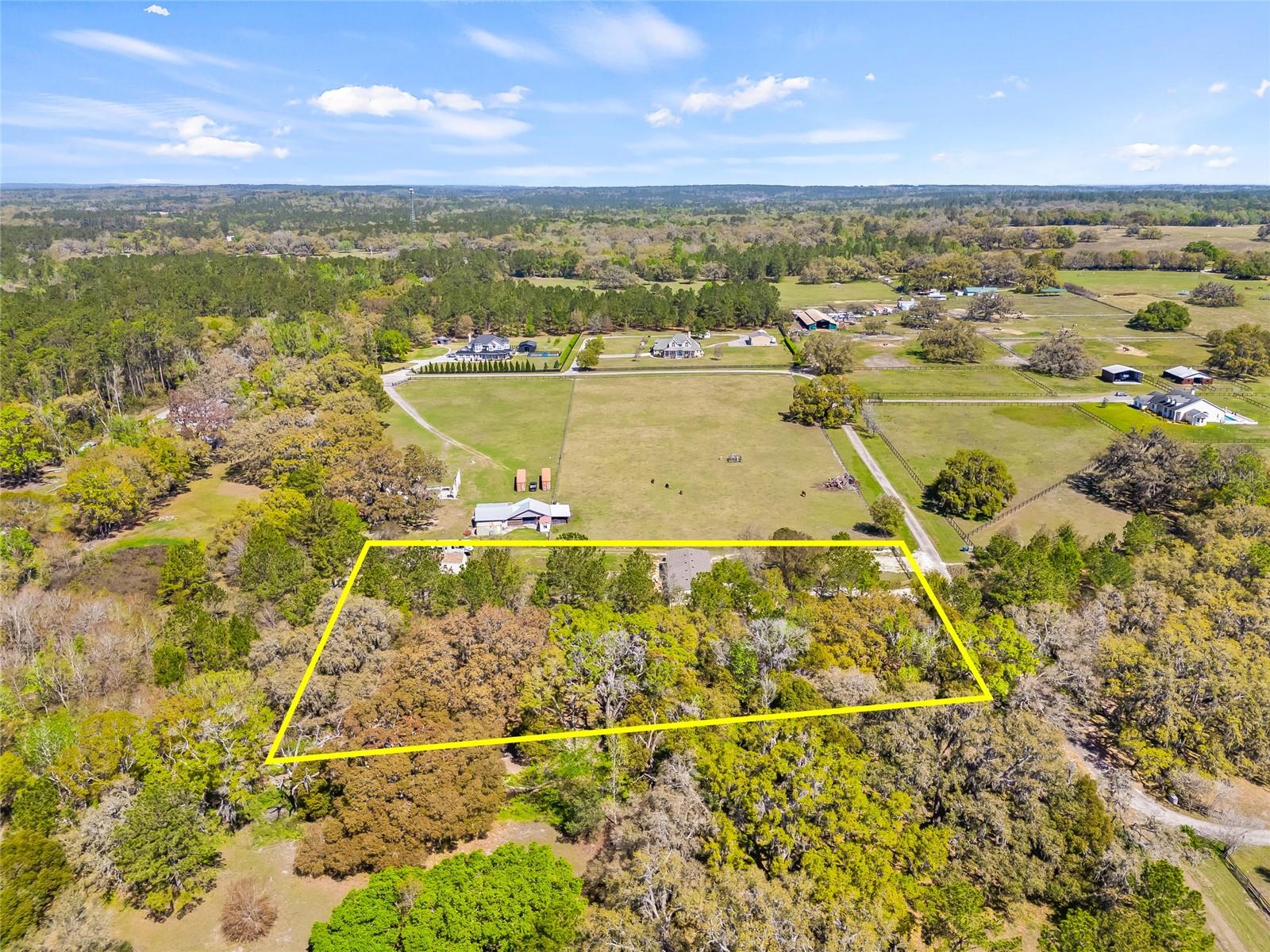 22296 WISE OWL RD, BROOKSVILLE, FL, 34602