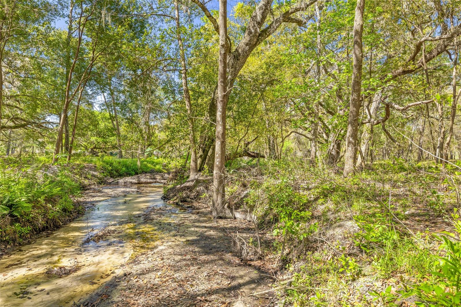 22296 WISE OWL RD, BROOKSVILLE, FL, 34602