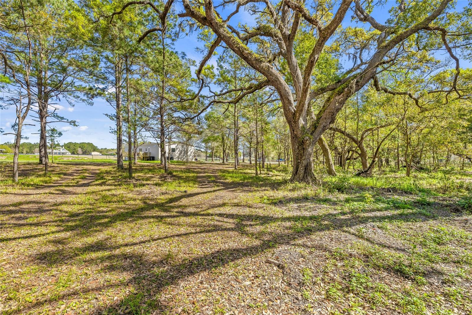 22296 WISE OWL RD, BROOKSVILLE, FL, 34602