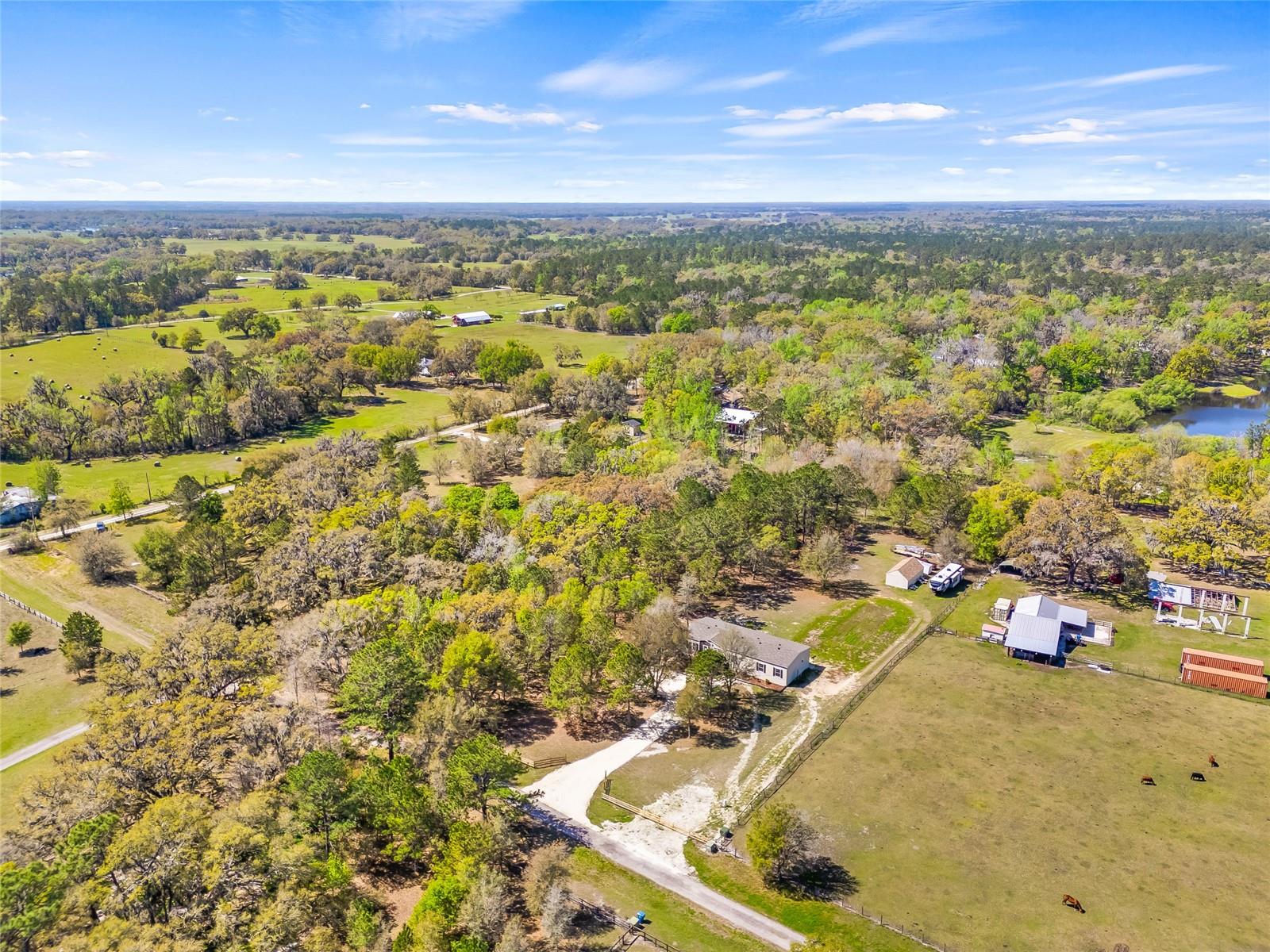 22296 WISE OWL RD, BROOKSVILLE, FL, 34602