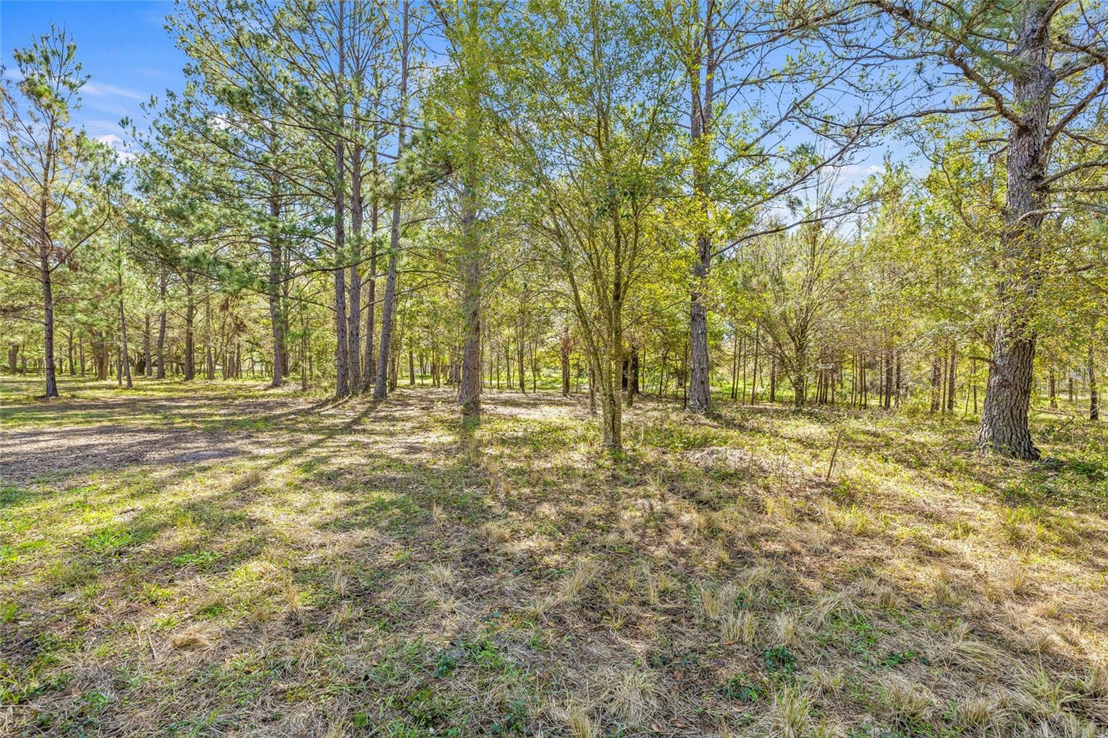 22296 WISE OWL RD, BROOKSVILLE, FL, 34602