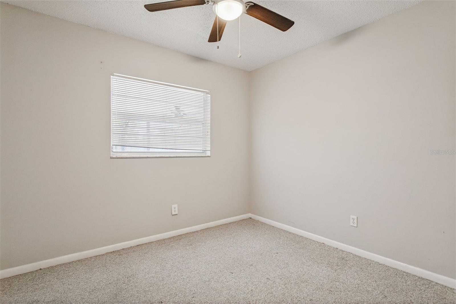 14013 BRIARDALE LN, TAMPA, FL, 33618