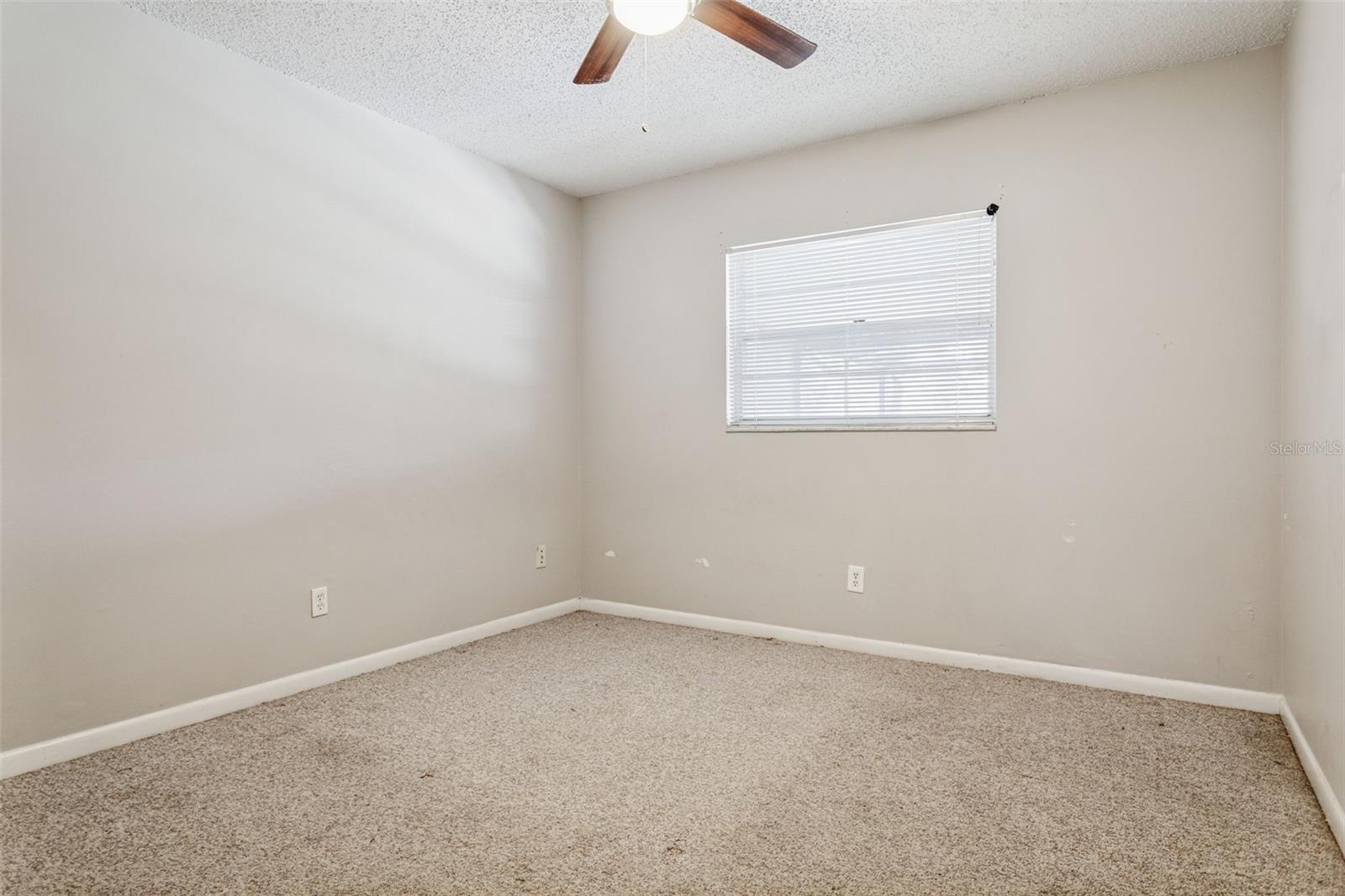 14013 BRIARDALE LN, TAMPA, FL, 33618