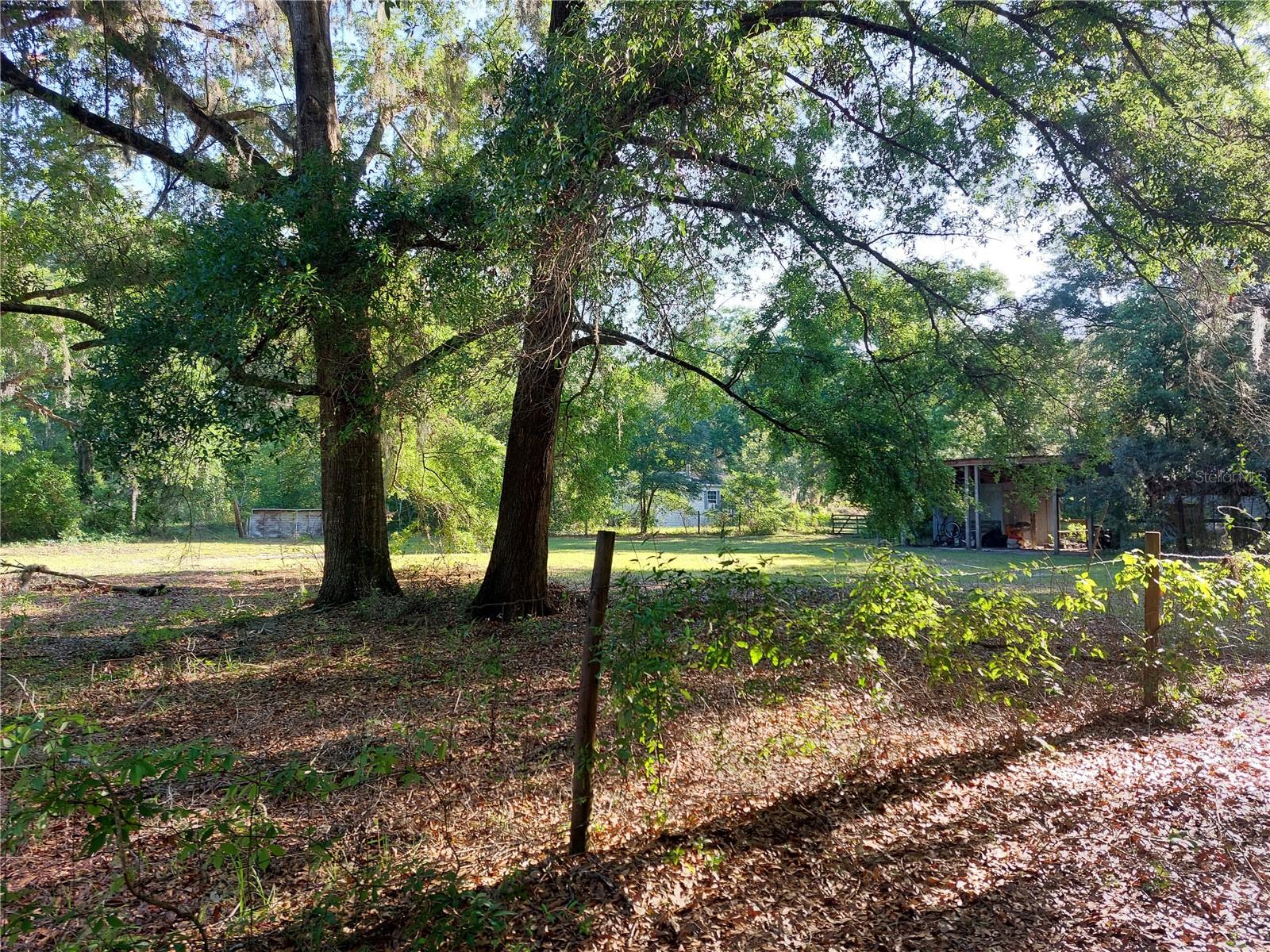 14540 & 14600 SE 77TH CT, SUMMERFIELD, FL, 34491