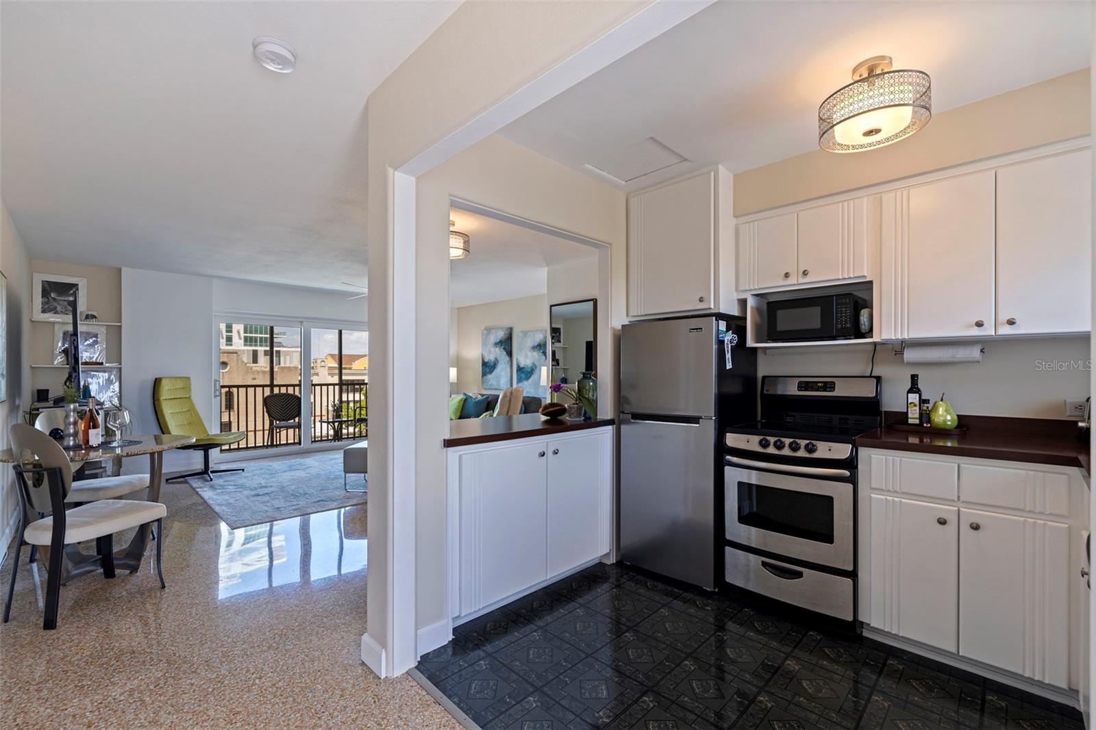 750 BURLINGTON AVE N #4L, ST PETERSBURG, FL, 33701
