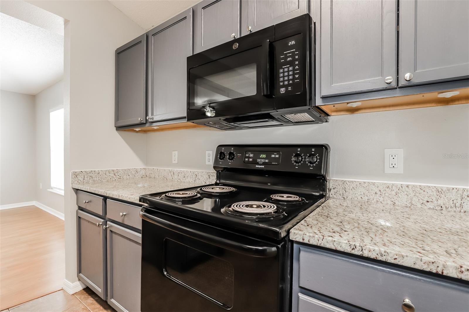 13516 COPPER HEAD DR, RIVERVIEW, FL, 33569