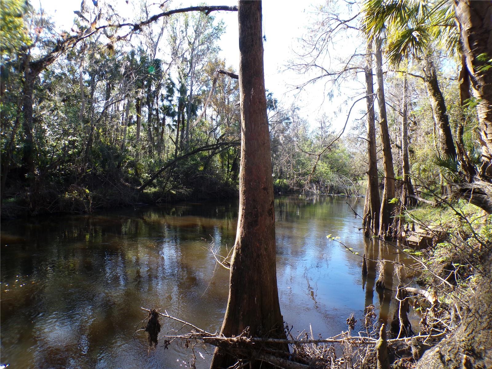 4405 COCONUT COVE PL, VALRICO, FL, 33596