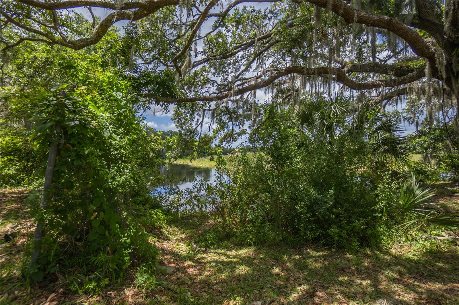 8929 E GULF TO LAKE HWY, INVERNESS, FL, 34450