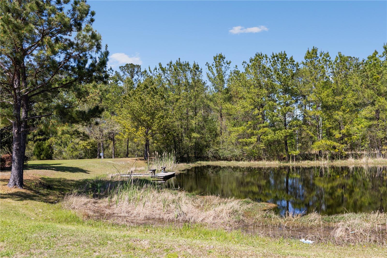 761 SW ROSEMARY DR, LAKE CITY, FL, 32024