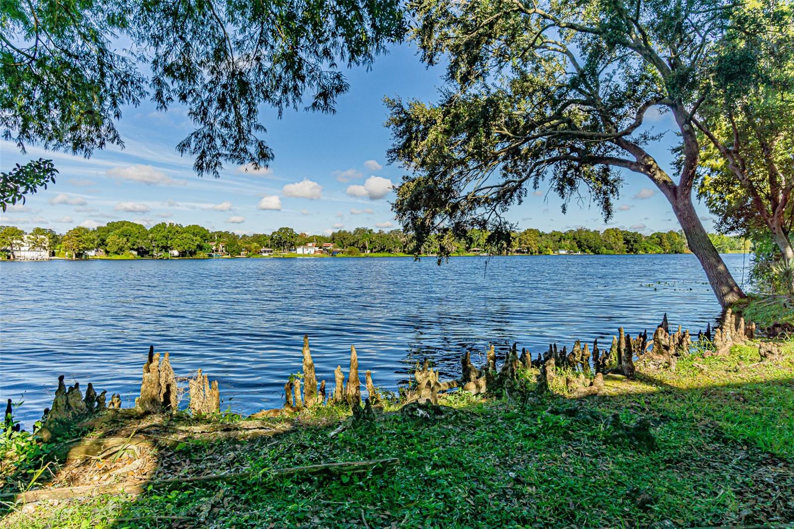 7150 E BANK DR #7150, TAMPA, FL, 33617