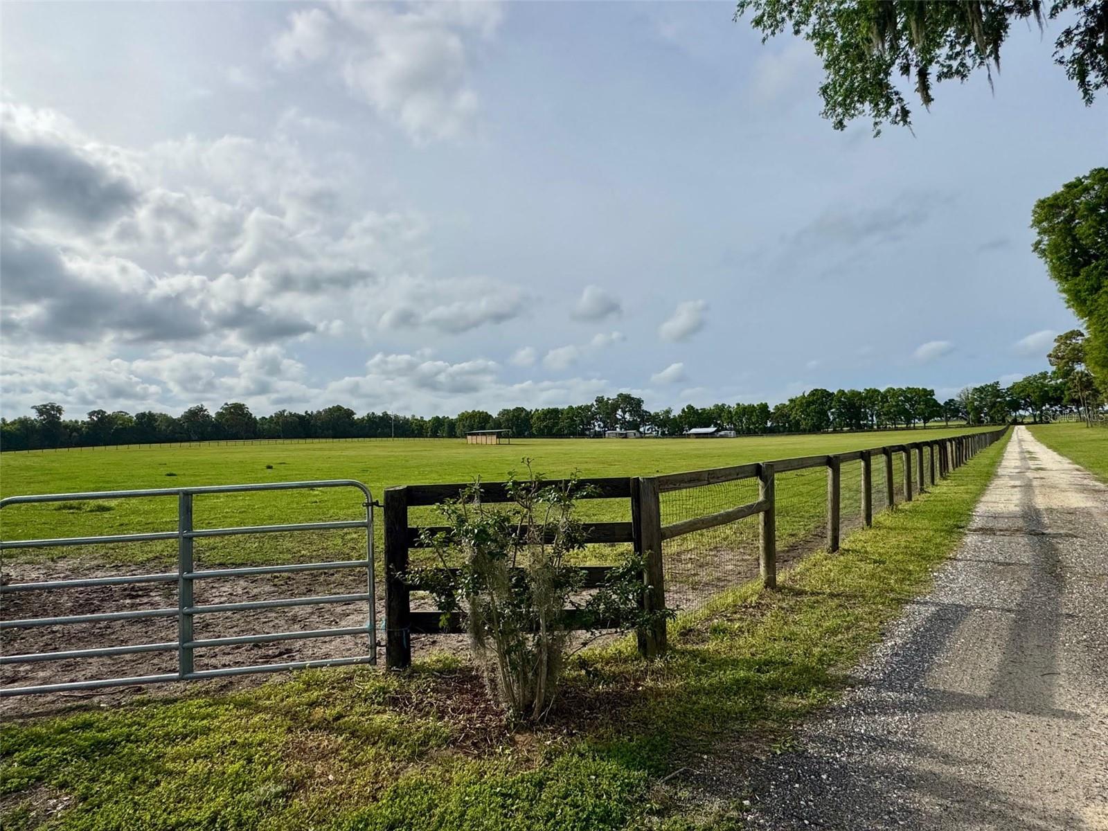 5637 NW 165TH ST, REDDICK, FL, 32686