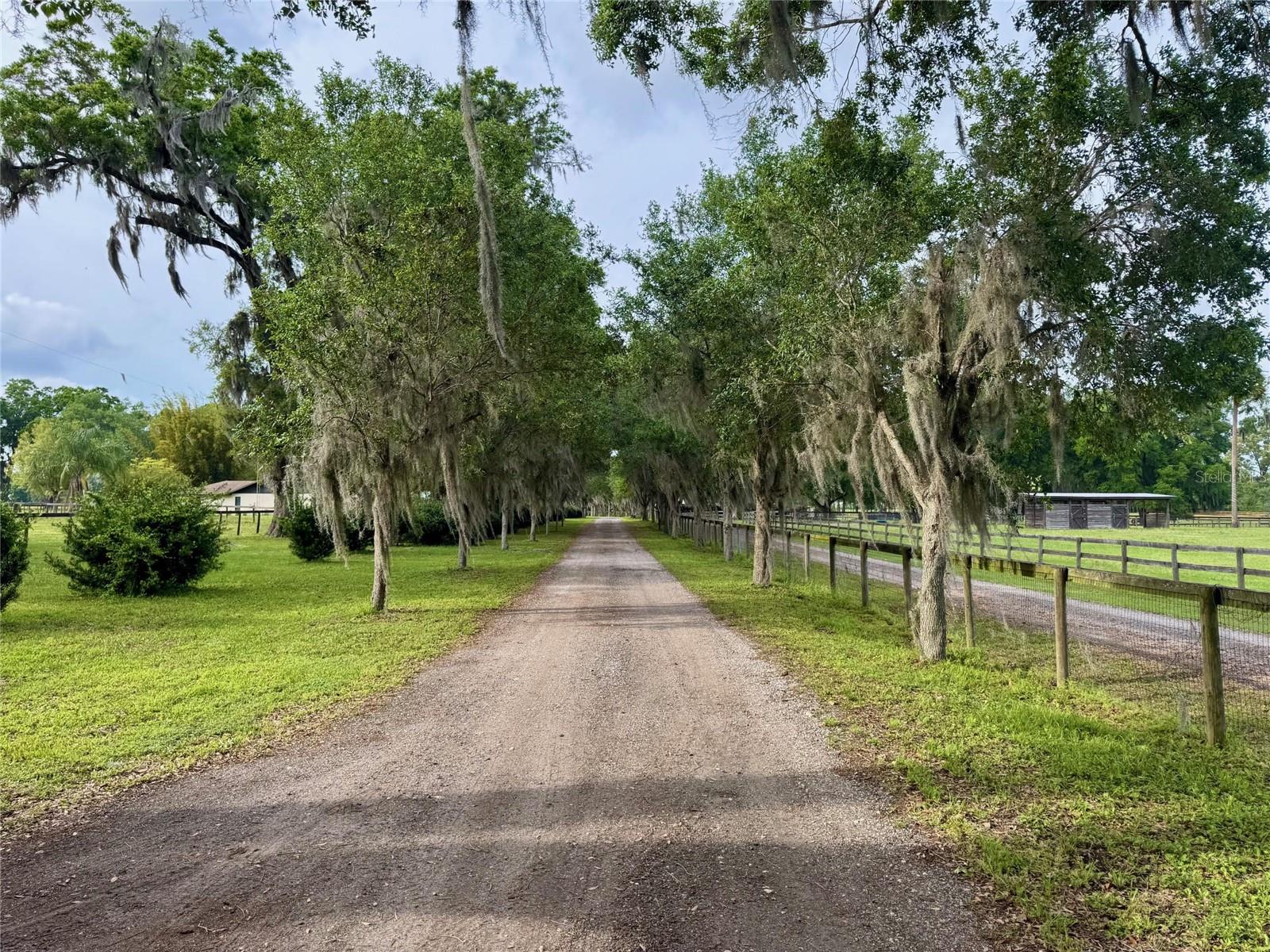 5637 NW 165TH ST, REDDICK, FL, 32686