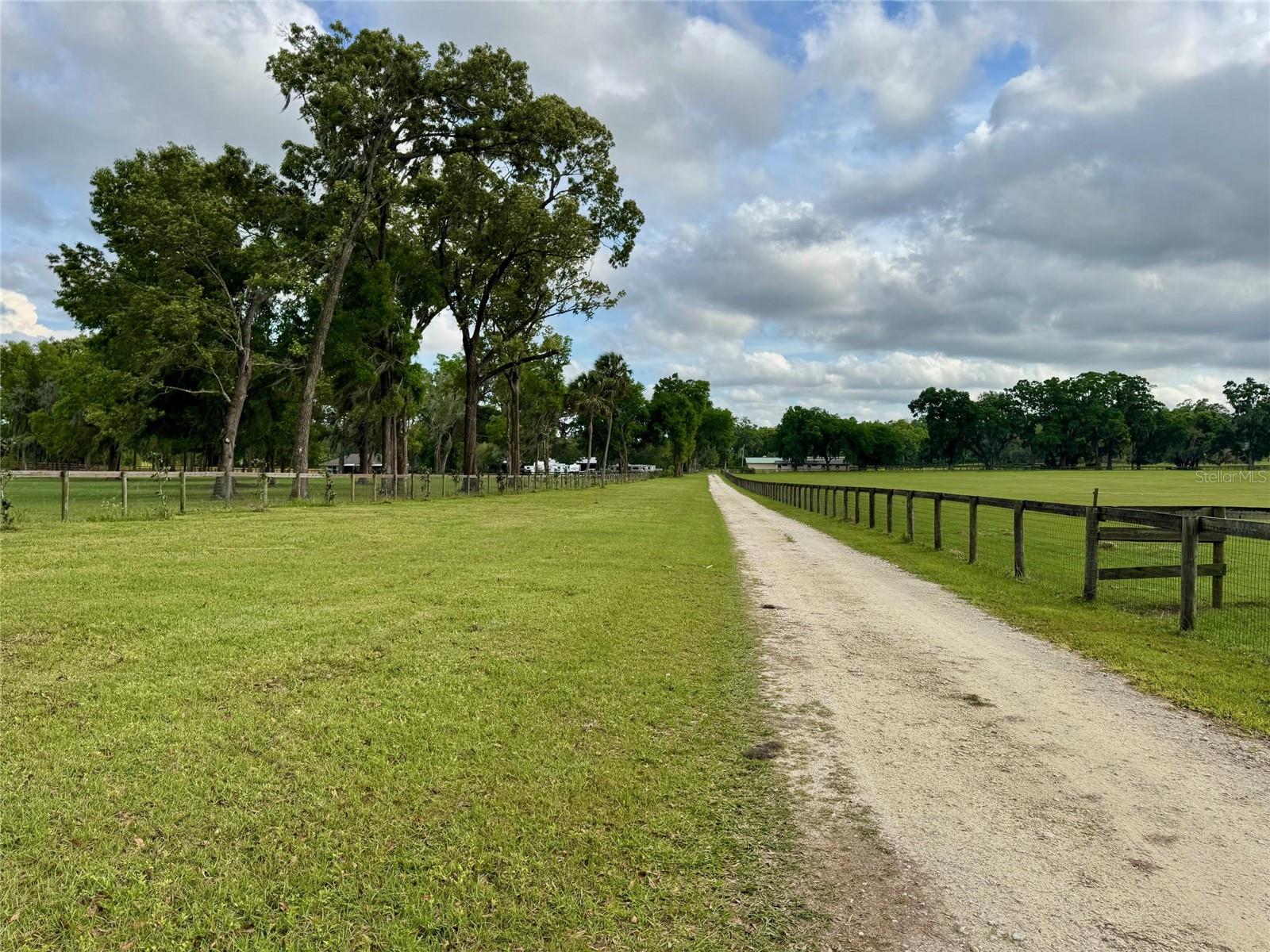 5637 NW 165TH ST, REDDICK, FL, 32686