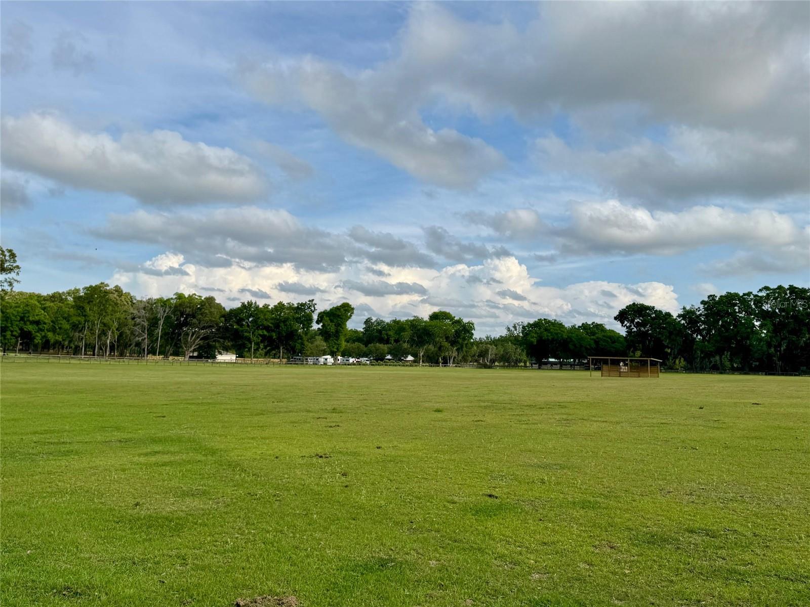 5637 NW 165TH ST, REDDICK, FL, 32686